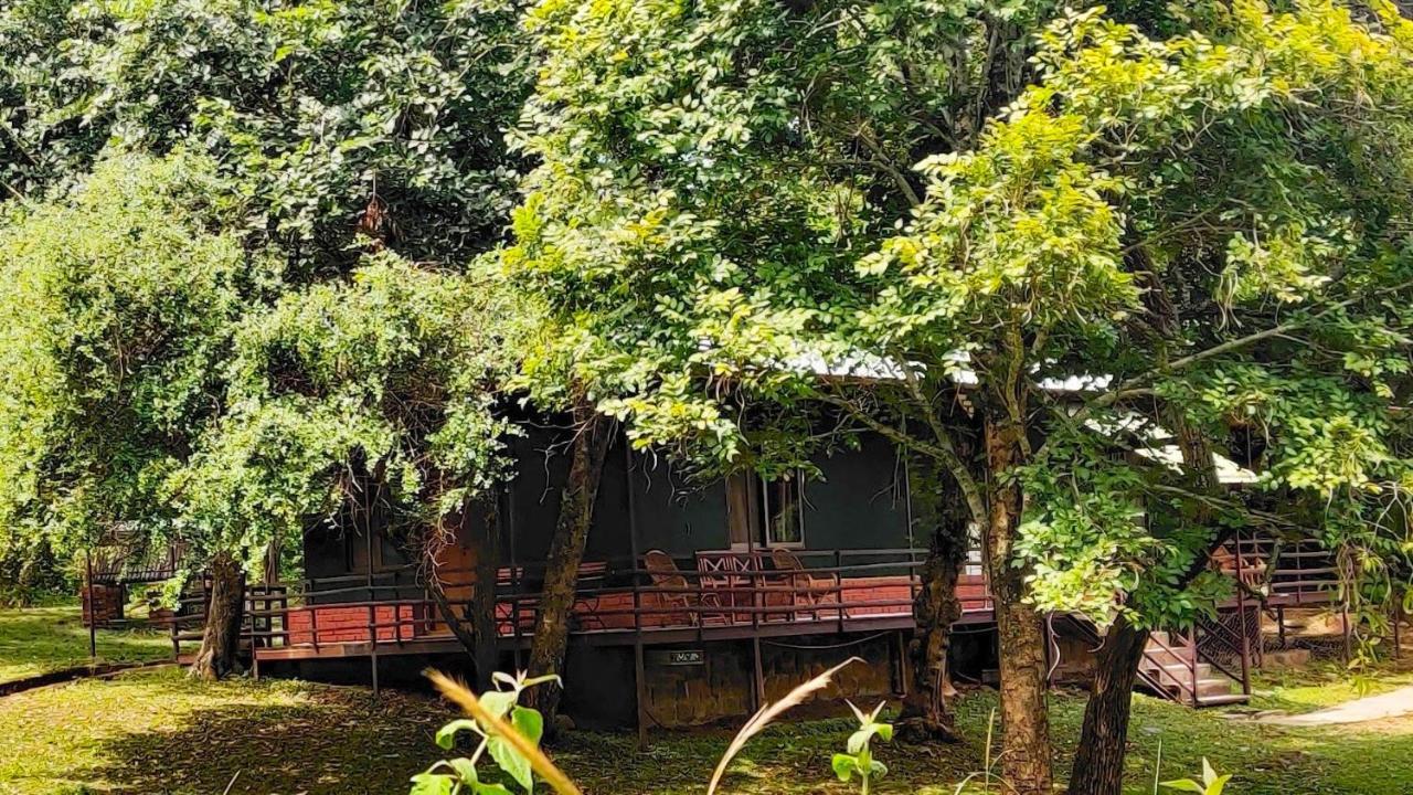Jungle Hut 3*
