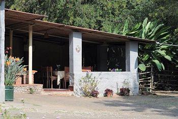 Resort Jungle Hut 3*
